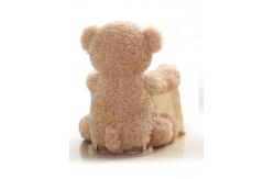 China Open Mouth Talking Electric Moving Puzzle Peekaboo Bears supplier
