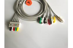 China IEC AHA 1.2m Length ECG Clip Leadwires Siemens Drager 3/5 supplier
