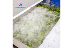 China 380V Integrating Spinach Washing Machine , Blasting Isolating Potato Cleaning Machine supplier