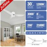 Remote Control ABS Blades LED Ceiling Fan With Noiseless DC Motor