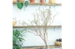 China 130cm Artificial Tree Branches Indoor Ornaments Creative Bonsai supplier