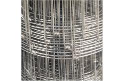 China Galvanized 2000mm Fixed Knot Fence supplier