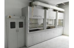 China Multifunctional Chemical Vent Hood For Hospital And School Laboratory supplier