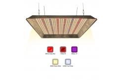China 320w UV IR Separately Quantum Horticulture Led Grow Lights supplier