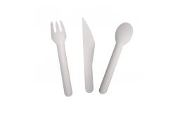 China Sustainable Biodegradable Plastic Cutlery supplier