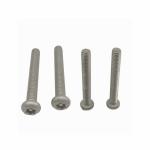 M4x35 Stainless Tamper Proof Screws Machine Screws SUS316 Passivated for sale