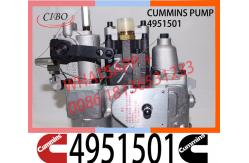 China Cummins NT855 NTA855 Fuel Pump 4951501 3019487 560659 3019488 supplier