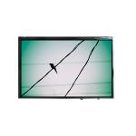 VVX10F008B90 10.1 inch 385 cd/m2 LCD Screen Display Panel for sale