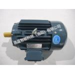 Customized AC Dynamometer PMSM for sale