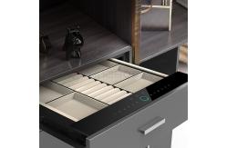China Auto Open Solid Steel Smart Luxury Locking Jewelry Safe For Cloakroom supplier