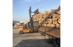 China Bagasse Cutlery manufacturer