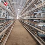 Stainless Steel Layer Poultry Farm Cage H type 54 birds / set for sale