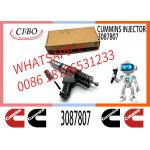 Fuel Injector Assembly 3087807 3411766F 3080931F 3087733 3095086 3087558F 4307795 6087807 For Cum-mins Engine N14 for sale