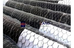 China Garden Chicken Wire Netting Fencing Rabbits Net Protect 0.2m-3m Width supplier