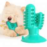 TPR Interactive Pet Toys Toothbrush Molar Puppy Teeth Cleaning Toy 125g ODM for sale
