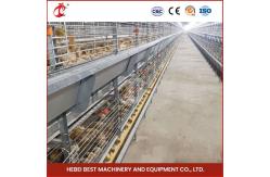 China Day Old Layer Chick Brooding Cage Equipment 208 Birds Higher Survival Rate Ada supplier