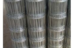 China Galvanized Hinge Joint Page Wire 2.5mm Farm Field Fence Livestock Prevent supplier