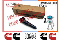 China Cum-mins M11 PT Fuel Injector 3087648 3406604 3071497 4914328 3079946 supplier