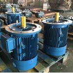Durable Permanent Magnet Brushless AC Motor IP55 High Power Maintenance Free for sale
