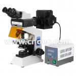 Trinocular / Binocular Fluorescence Microscope For Laboratory A16.0906 for sale