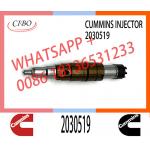Diesel Engine Fuel Injector 4905880 2872544 2031835 2030519 For Cummins SCA-NIA Engine for sale