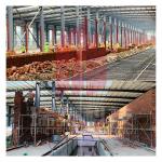 Worldwide Brick Making Project Design Demonstration Complete Production Line Project
