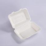 White Sustainable Disposable Lunch Box Take Away Boxes For Food Clamshells 600ml for sale