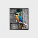 High Contrast Square LCD Panel 35.6 Inch 950*1080 500nit With Android System for sale