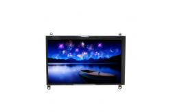 China LT056DET2S00 LVDS LCD Screen Display 5.6 inch LCD panel supplier