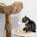 Cat Tree Unique Design Natural Wood Cat Tower Easy Climbing Small  cat