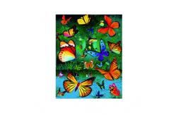 China Eco - Friendly 3D Lenticular Photo For Store With PS / MDF Frame supplier