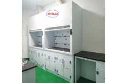 China Microcomputer Control System Chemical Fume Hood  Pp Ventilation Cabinet for Efficient Operation supplier