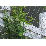 AISI316 2.5mm Steel Wire Netting For Climbing Plants Corrosion Proof for sale