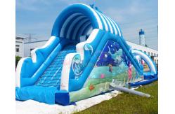 China EN71 Child Outdoor Inflatable Water Slides With Pool Jumping Bounce House supplier