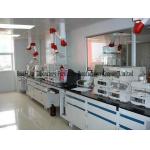 Lab Wall Bench Malaysia / Lab Wall Counter Oman / Lab Wall Bench With Storage Pakistan for sale