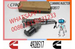 China 4903472 4928517 3411845 402622200PX Injector QSM11 QSM11-C R455LC-7 OEM supplier