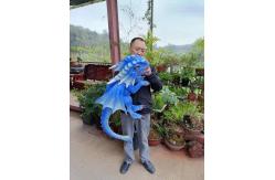 China Hand Puppet Simulation Blue Realistic Animatronic Dinosaur Baby With Wings supplier