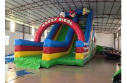 China Inflatable Crazy Bird Toddler Water Slide , Attractive Jumping Castle Water Slide supplier