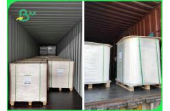 China Food Grade Packing PE Coated White Craft Paper Moistureproof & Greaseproof supplier
