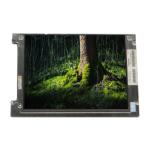 LTM10C021K 10.4 inch 640*480 TFT-LCD Screen Panel VGA  76PPI for sale