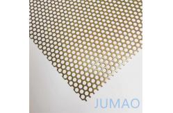 China SS Architectural Perforated Metal Ceiling Modern Decoration 1mm 2mm supplier