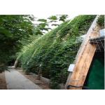 High Intensity Stainless Steel Trellis Abrasion Resistant Without Toxic Material