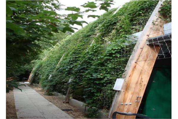 High Intensity Stainless Steel Trellis Abrasion Resistant Without Toxic Material