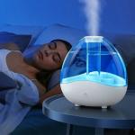 HOMEFISH Desktop Ultrasonic Room Humidifier 2 Speed Large Capacity 1.5L for sale