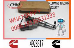 China 4903472 4928517 3411845 402622200PX Injector QSM11 QSM11-C R455LC-7 OEM supplier