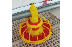 China 4pan/3m Poultry Raising Equipment supplier