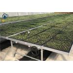 Agricultural Galvanized Metal Mesh Seed Bench Rolling Bench Grow Table For Flower Planting for sale