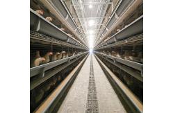 China Wire Mesh 60-384 Egg Chicken Cage , HDG Q235 Layer Farming Cage supplier