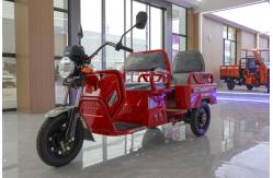 China 800w Passenger Electric Tricycle With Back Seat Foldable Safety Guardrail supplier