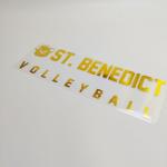 Soft Metal Foil Metallic Heat Transfer HTV Heat Transfer Vinyl Custom Logo for sale